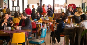 I love The Food Co-op, but it needs your help to survive