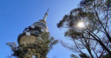 Damage, stolen items at Telstra Tower estimated to cost $200,000