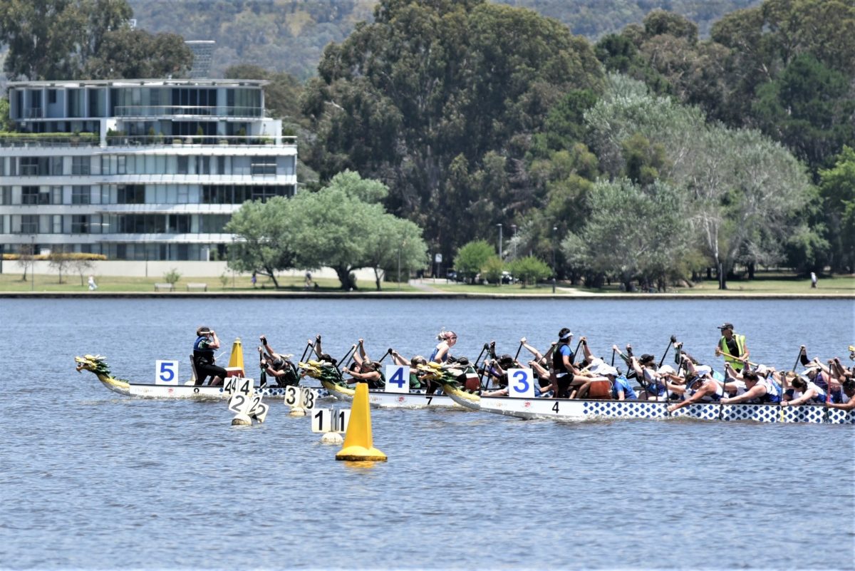 Come and try dragon boating on Saturday 21 January. Photo: Supplied.