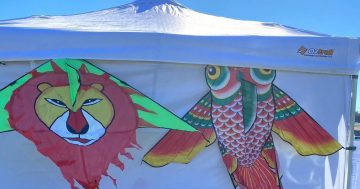 More rides, more kites, and more fun to hit Canberra this January as annual festival returns