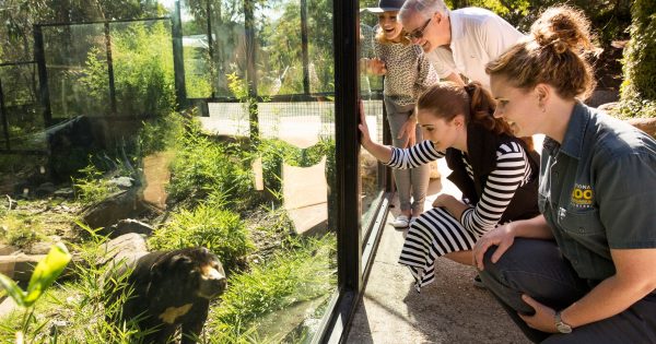 Buyers circle National Zoo and Aquarium but strict conditions are attached