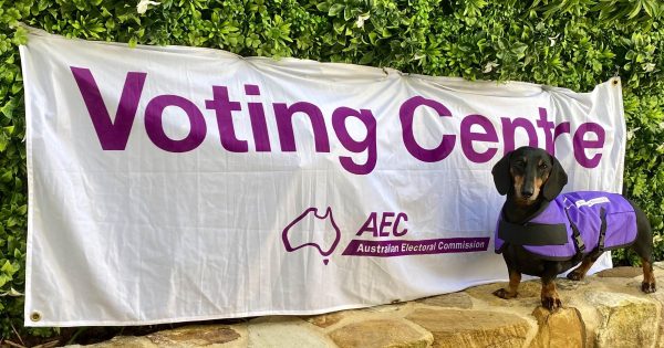Three-quarters of Australians don't know when they're being lied to in elections, survey finds