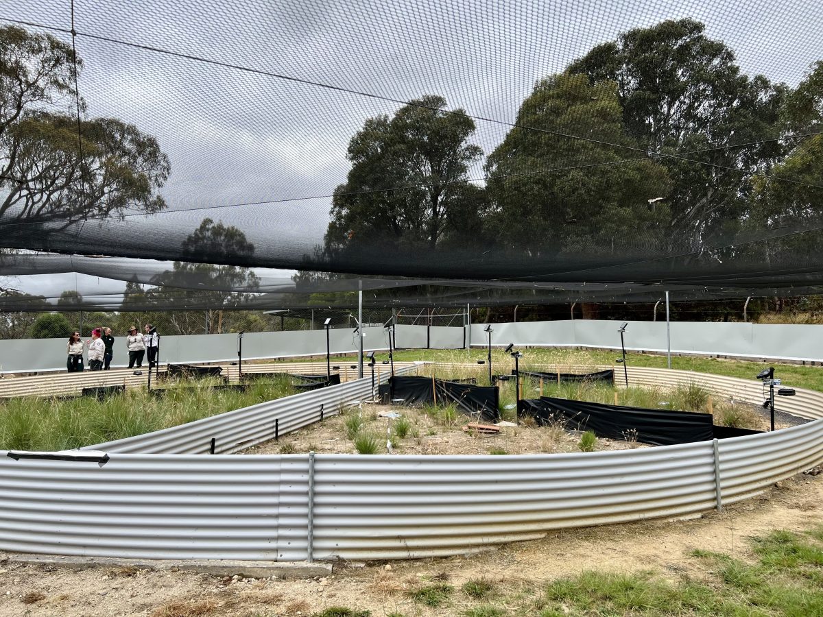 Tidbinbilla 'ring enclosure'