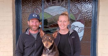 Artisans to market their wares at Dalton's Royal pub