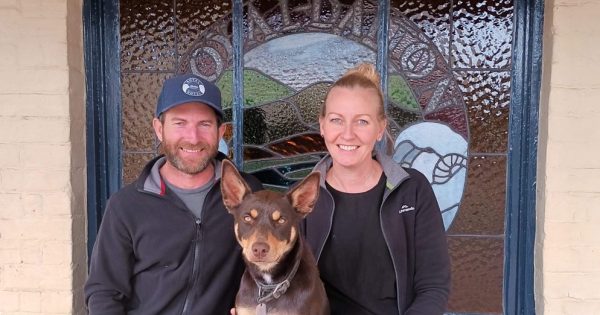 Artisans to market their wares at Dalton's Royal pub