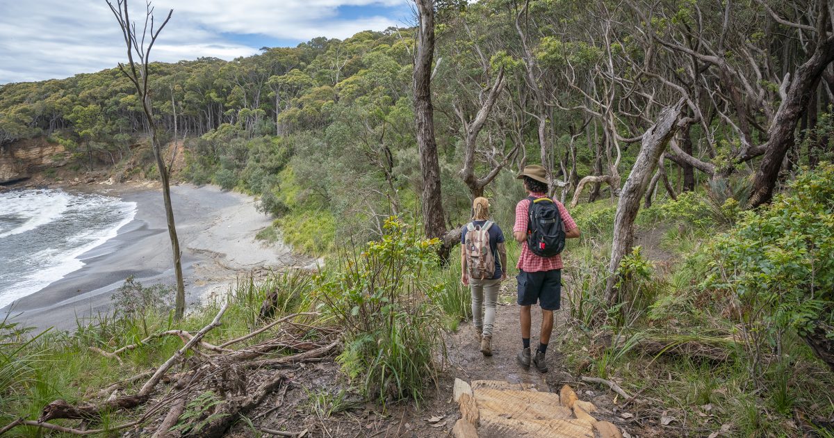 Community concern, confusion over plan to prioritise businesses at popular NSW campsites | Region Canberra Community concern, confusion over plan to prioritise businesses at popular NSW campsites | Region Canberra