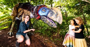 Things to do in Canberra this week (3 - 9 March)