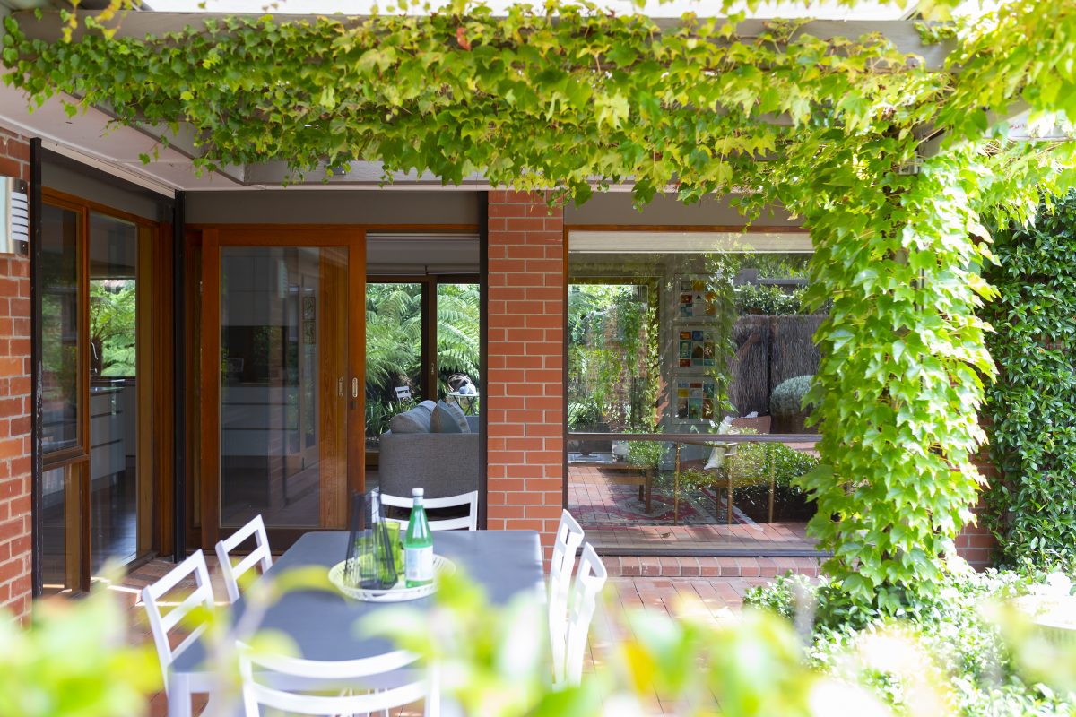 Looking into the property from the back garden with creeping vines overhead