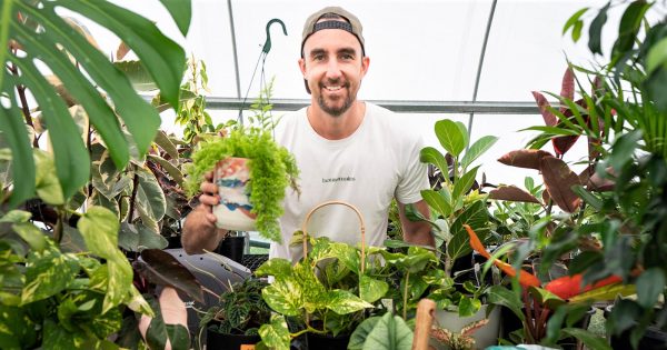 Haven’t botany plants for the house recently? Would you beleaf you can get ’em delivered?