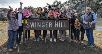 From hospitals to horticulturalists: meet two groups behind Floriade Community