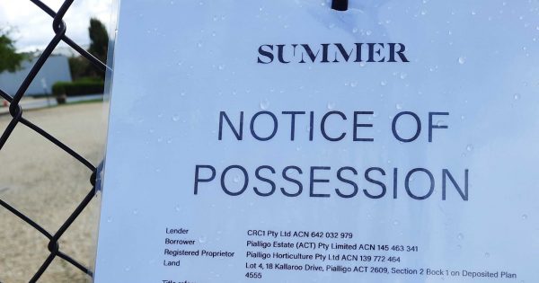 Failed Pialligo Estate owes $8.5m, liquidators' report reveals