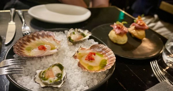 Corella Restaurant and Bar flies high with native focussed menu
