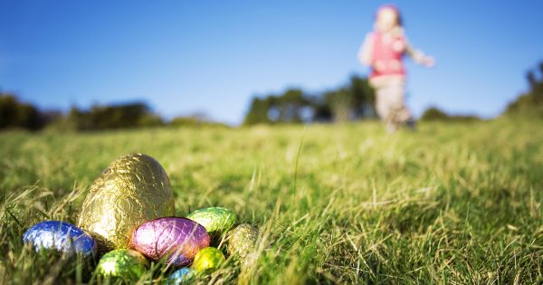 Make sure your chocolate's background is sweet with proposed modern slavery legislation tabled