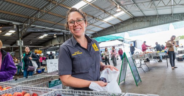 Farmers market launches school grants program to encourage healthy eating and buying habits