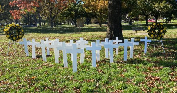 Driver responsibility focus of National Road Safety Week to stop 'far too many deaths' on our roads