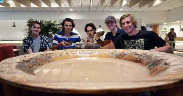 Australian Pacific Islanders make the case for permanent and nationwide kava comeback