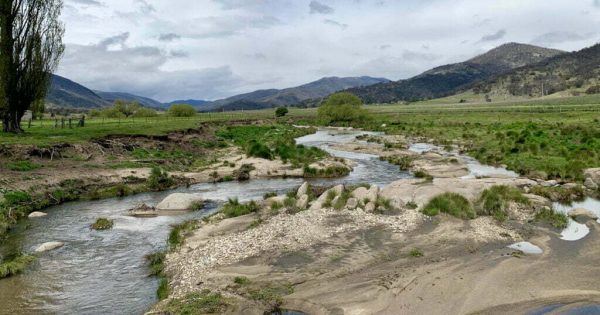 Rivers of Carbon: bringing landowners in on the work to restore our waterways