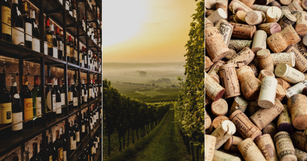 QUIZ: How much do you actually know about wine?