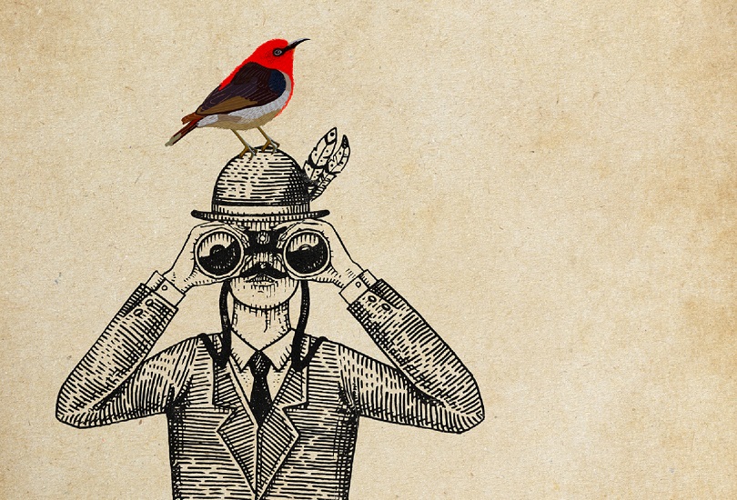 An illustration of a bird water looking our binoculars with a red bird on his head.
