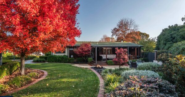 Auction results 5 - 11 June 2023