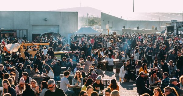The Forage returns for Winter Solstice Festival
