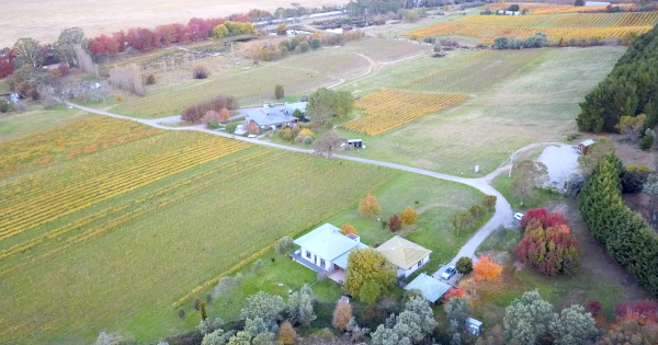 Big plans for Lake George Winery after $4.5m sale