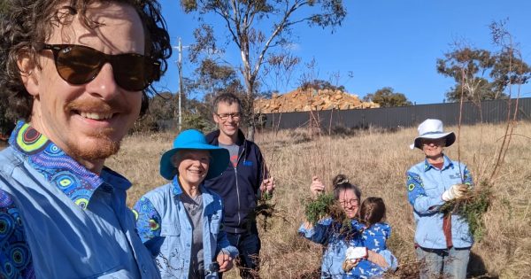 What is the Ainslie Volcanics site and why do almost 600 Canberrans want it protected?