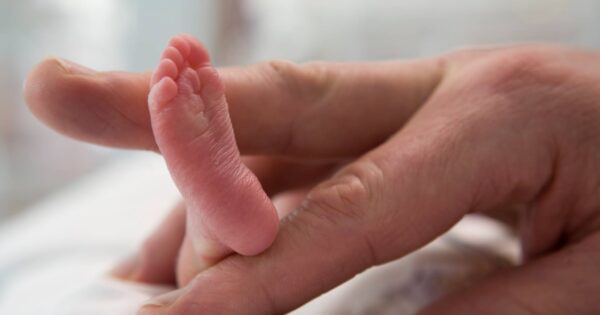 Baking for babies keeps parents in touch with sick newborns