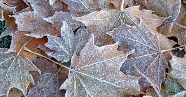 Expect frosty mornings and dry, sunny days for the long weekend - and the start of the snow season