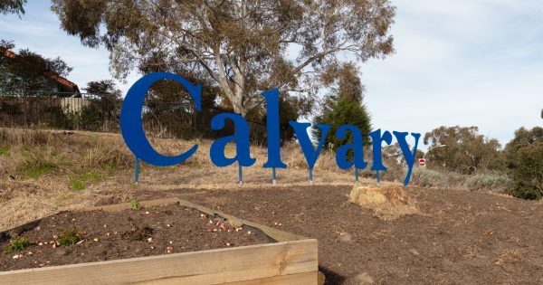 Mother sues after she was allegedly injured during son's birth at Calvary Public Hospital