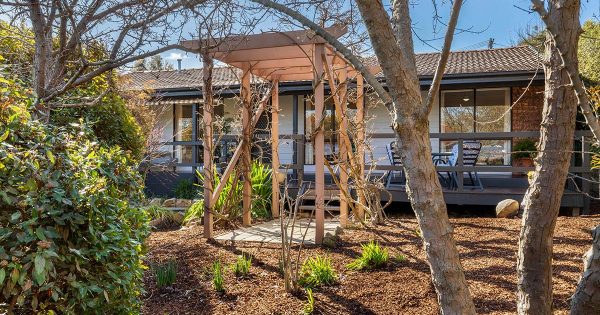 'Green thumb's heaven': three-bedroom McKellar home on picture-perfect block