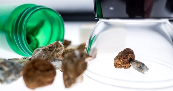 ANU prepares to launch world-first registry to monitor impacts of psychedelics prescriptions