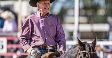 Cootamundra's Bob Holder, 95, saddles up for one more ride at Mount Isa Rodeo
