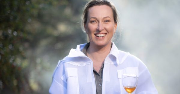 How sweet it is: capital region to host its first honey masterclasses