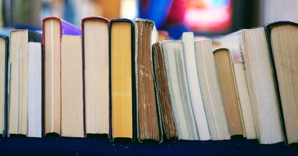 Yass councillor calls for youth sex education book's removal from library