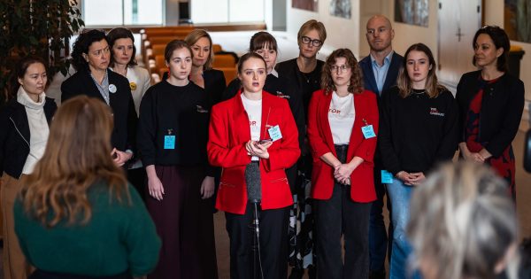 'Unheard, invalidated and as though I was a nuisance': ANU students share fresh accounts of university's response to sexual violence