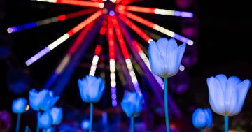 Special event declarations to see Canberrans celebrating late into the night