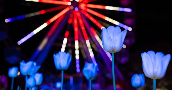 Special event declarations to see Canberrans celebrating late into the night