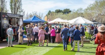 Hops & Hooves Festival Race Day