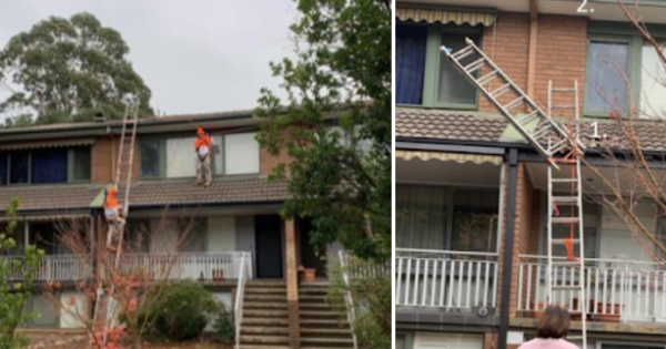 Employer sentenced after painter left paraplegic by 6-metre fall from 'dodgy' ladder