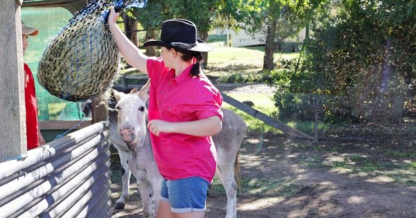 How a former dairy farm on the city's outskirts has changed the lives of hundreds of young Canberrans