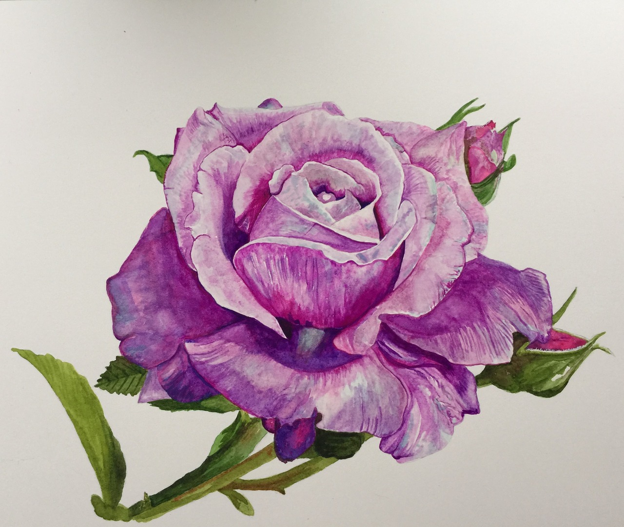 Something Floral 6-Week Masterclass Tuggeranong Arts Centre