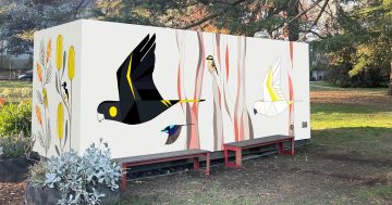 Haig Park nature activation among new placemaking projects coming to city centre and Braddon