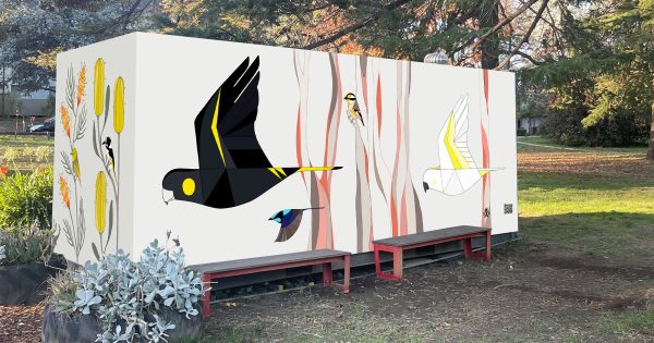 Haig Park nature activation among new placemaking projects coming to city centre and Braddon