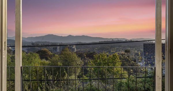 Auction results 16 - 22 October 2023