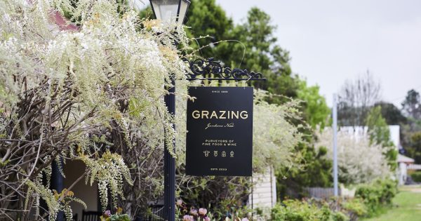 The Institutions: Grazing celebrates 20 years at Gundaroo