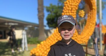 How a browse through Women's Weekly sparked a unique 30-year citrus festival