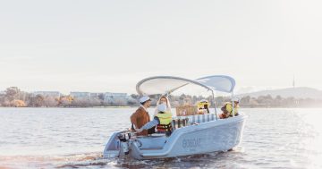 Tyrrell clears decks for full Senate tilt with GoBoat sale