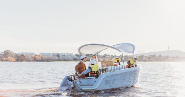 Tyrrell clears decks for full Senate tilt with GoBoat sale