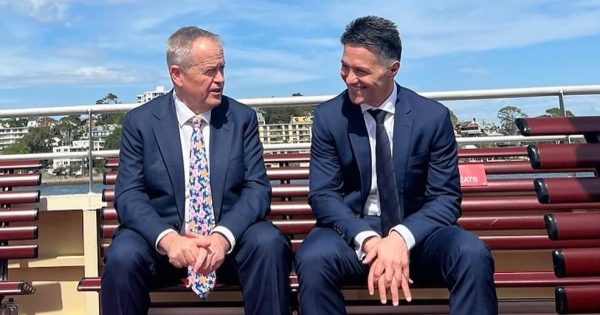 Shorten appoints former NSW Minister Victor Dominello to head up myGov Advisory Group